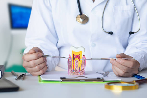 Best Dentist for Severe Toothache  in Redfield, SD